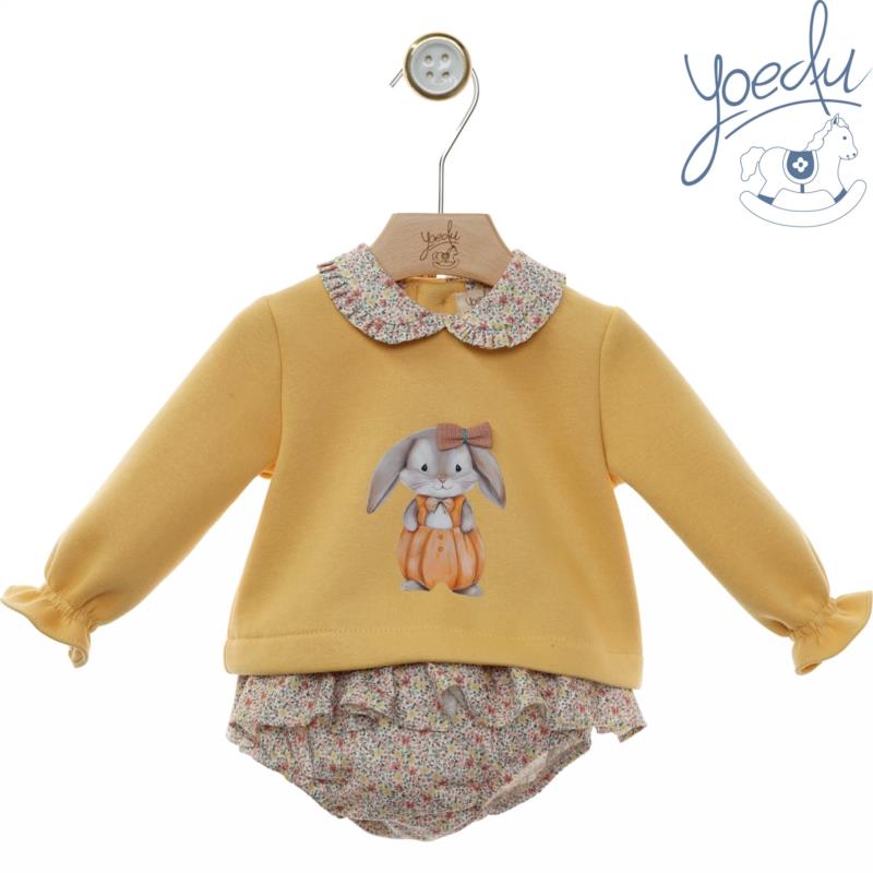  Conjunto Yoedu