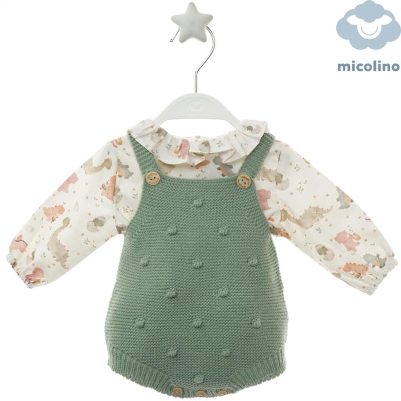Conjunto micolino